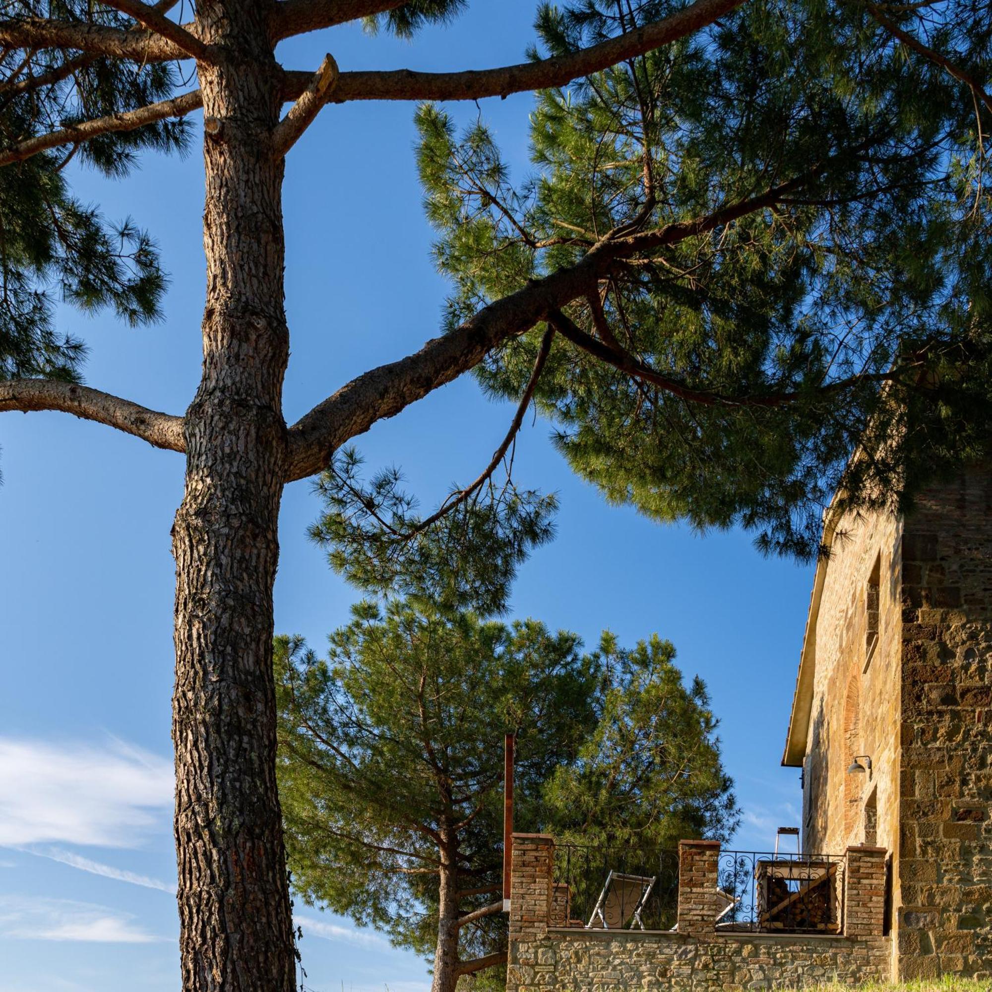 Torrevista - Opened 2022 Aparthotel Montaione Δωμάτιο φωτογραφία